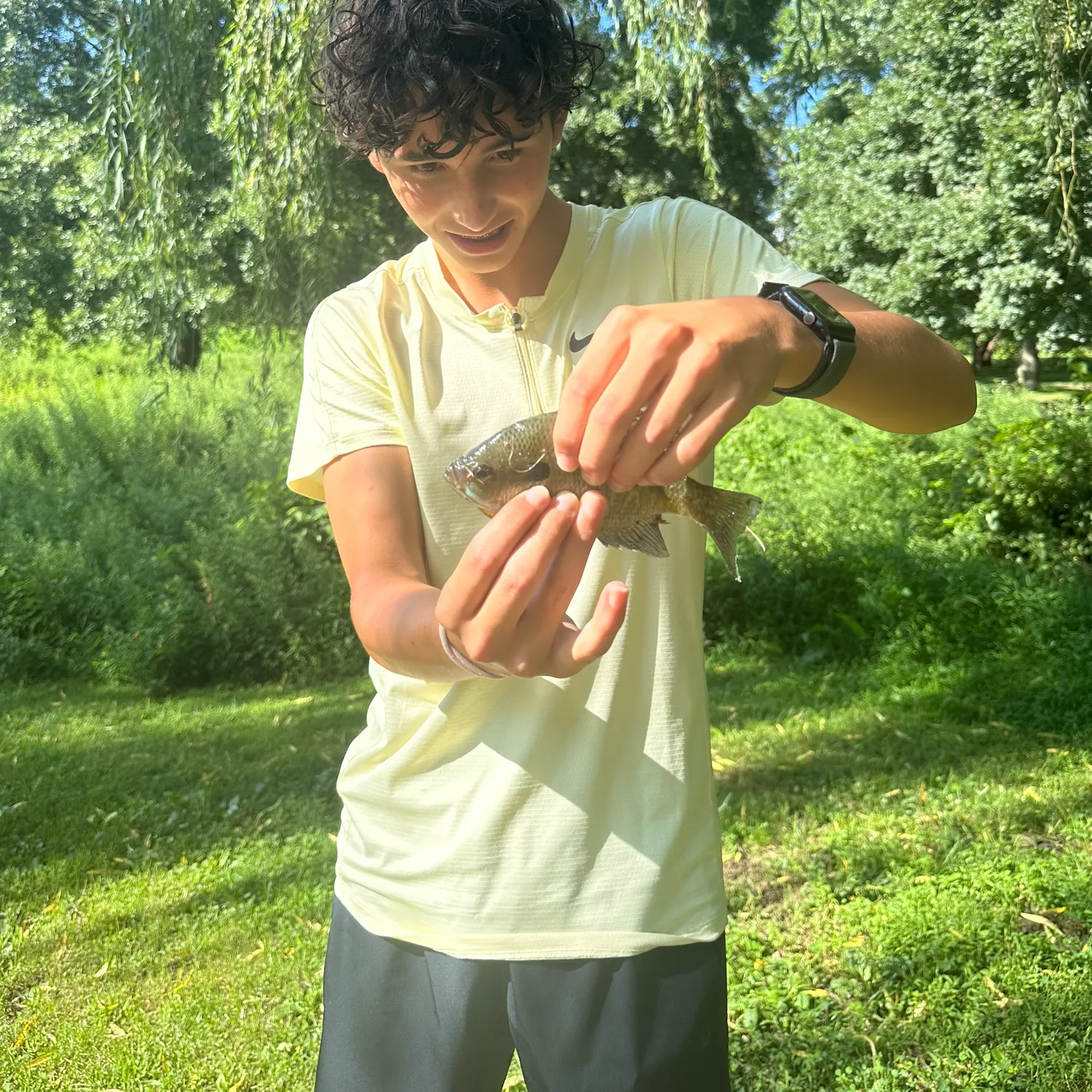 catch