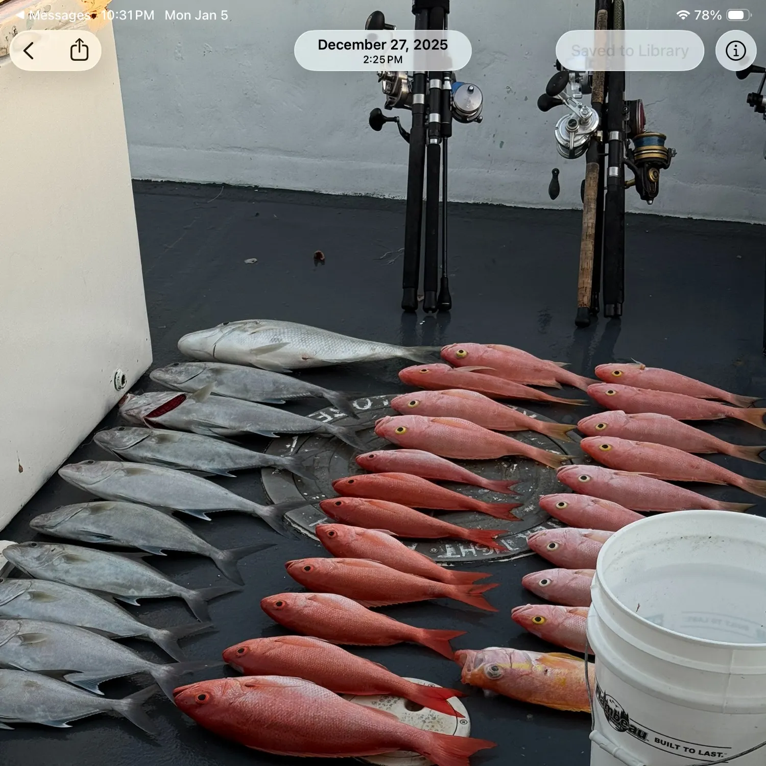 recently logged catches