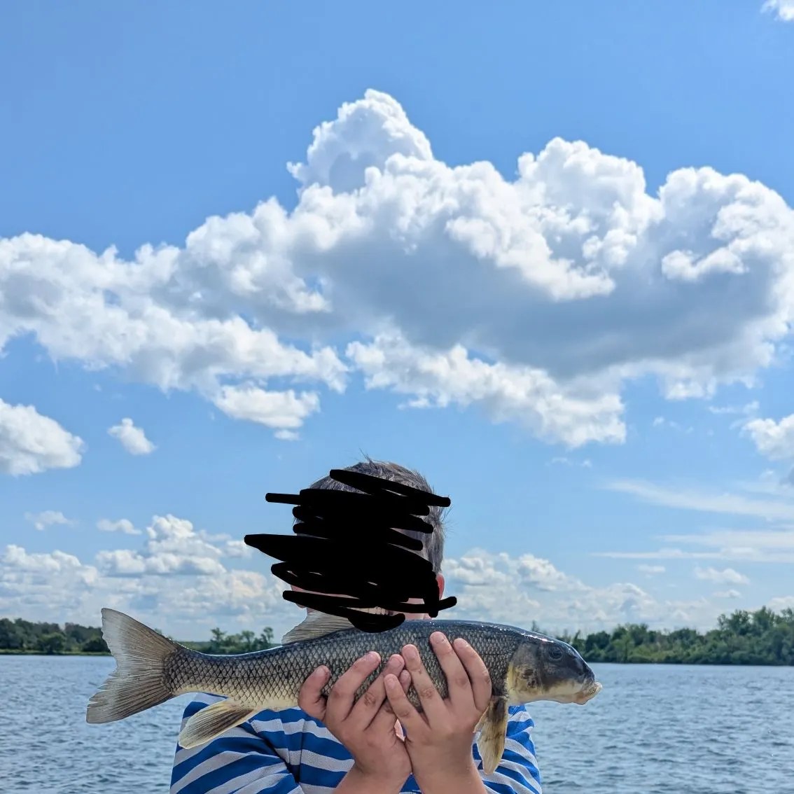 The most recent Silver redhorse catches on Fishbrain