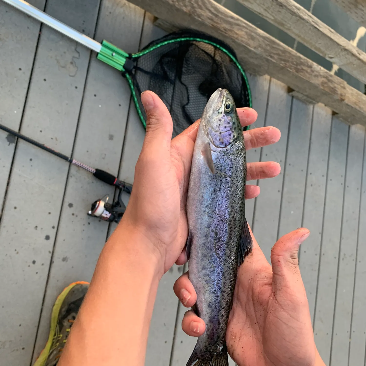 catch