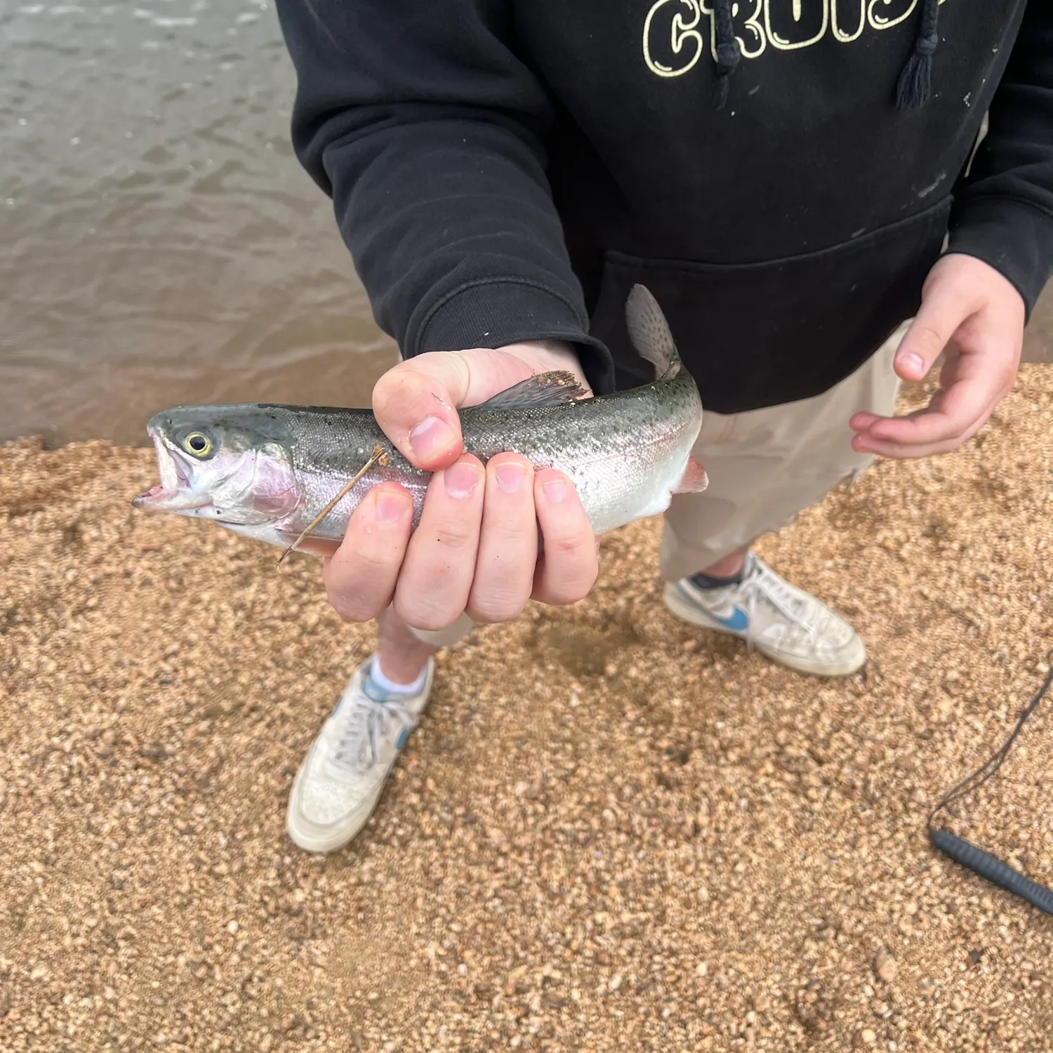Rainbow trout caught on Fishbrain