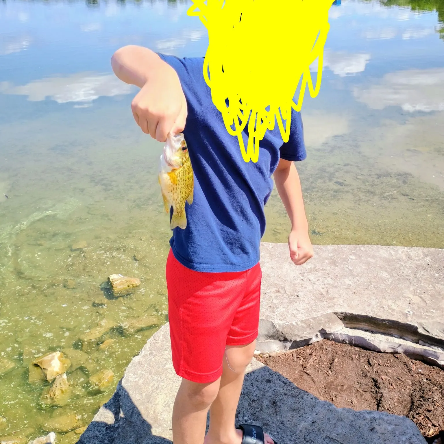 Rock bass caught on Fishbrain