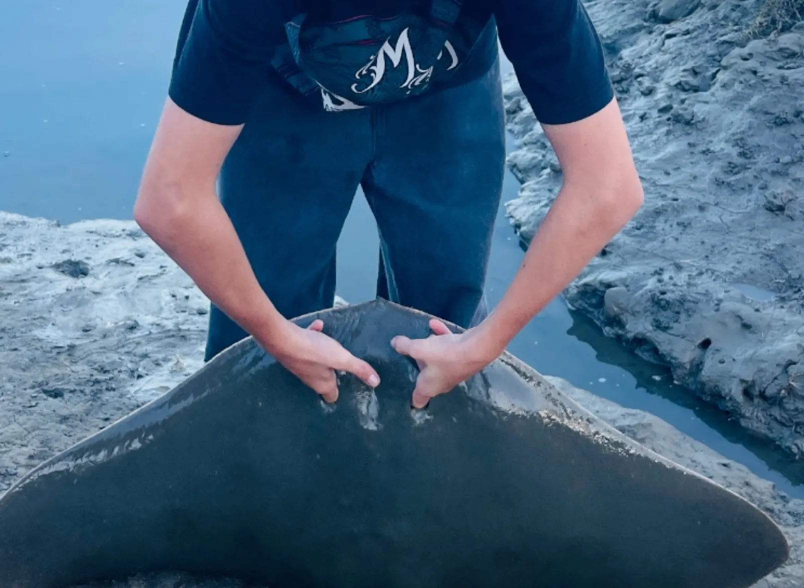 Backwater butterfly ray