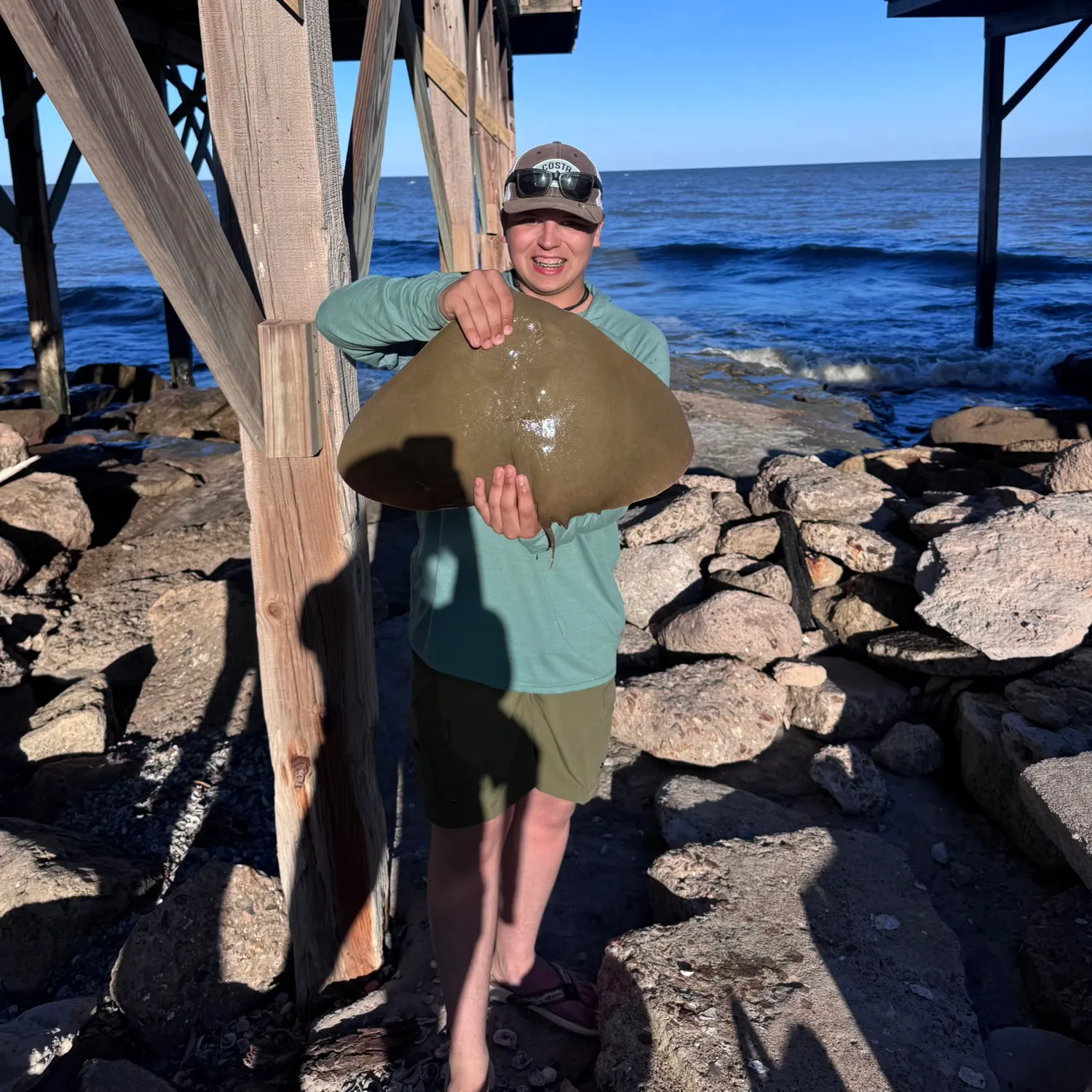 The most recent Southern stingray catches on Fishbrain