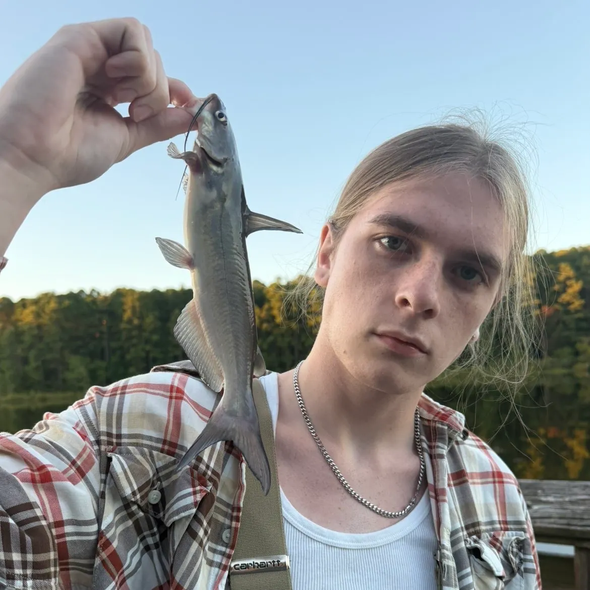 Channel catfish caught on Fishbrain