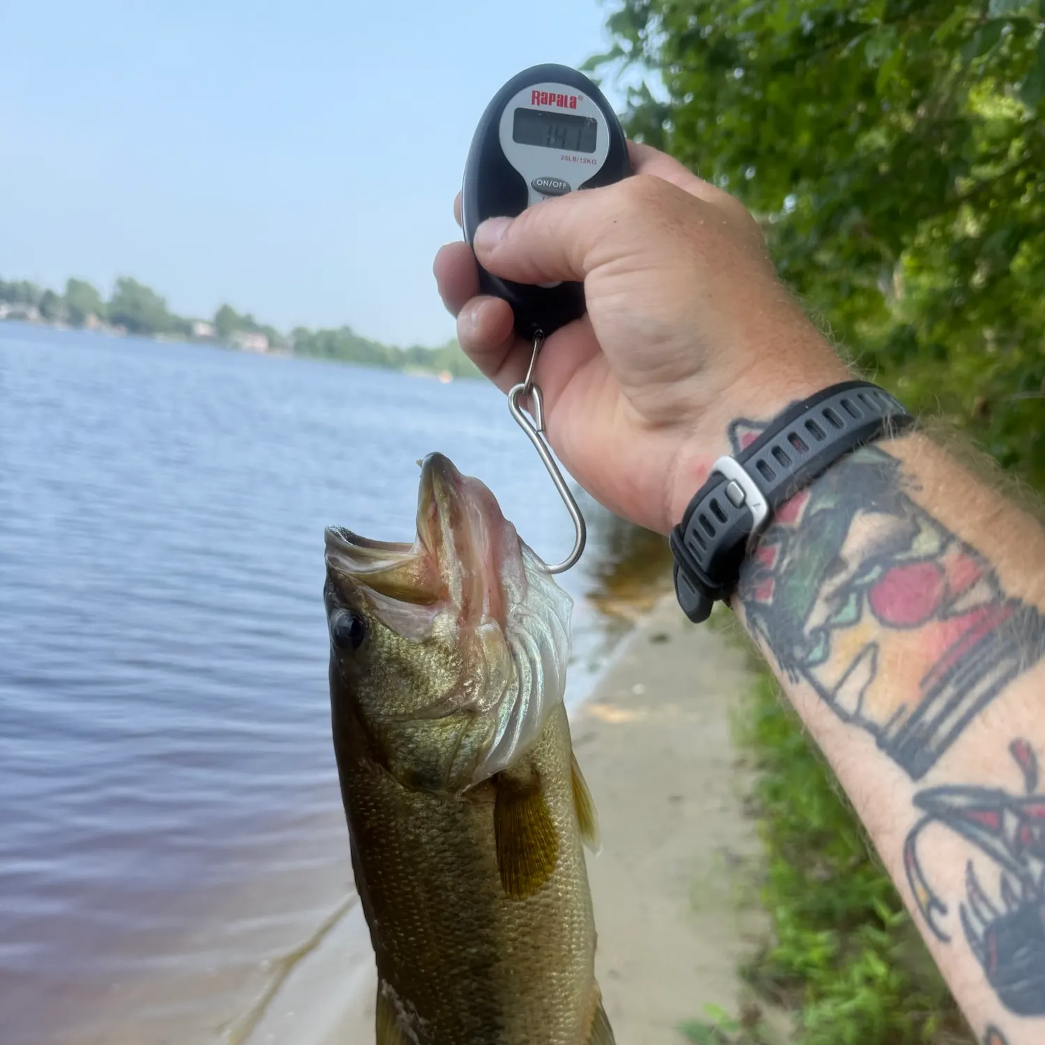 catch