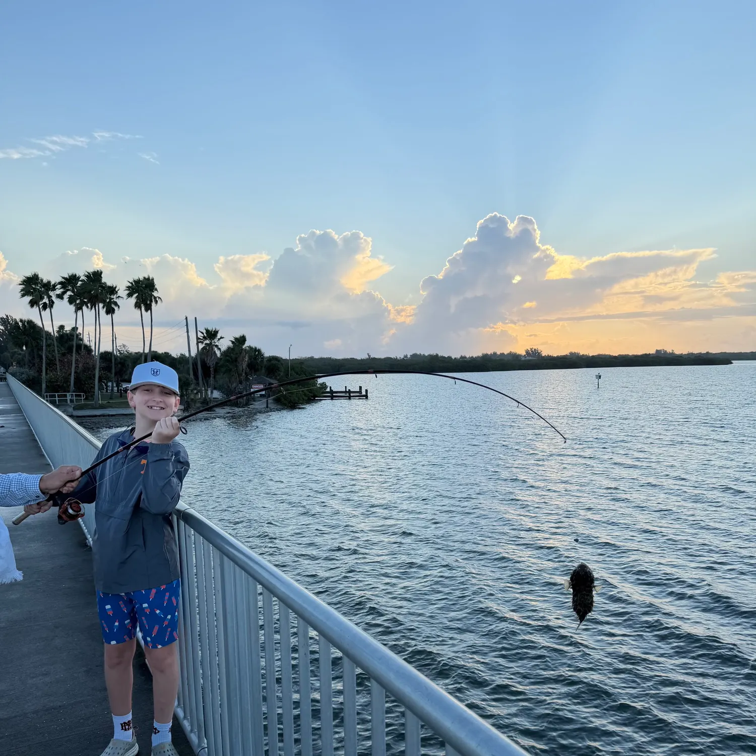 The most recent Checkered puffer catches on Fishbrain