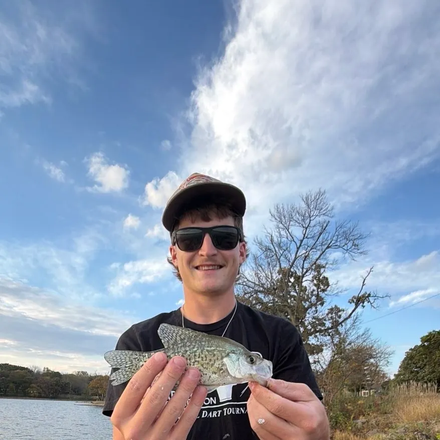 Black crappie caught on Fishbrain