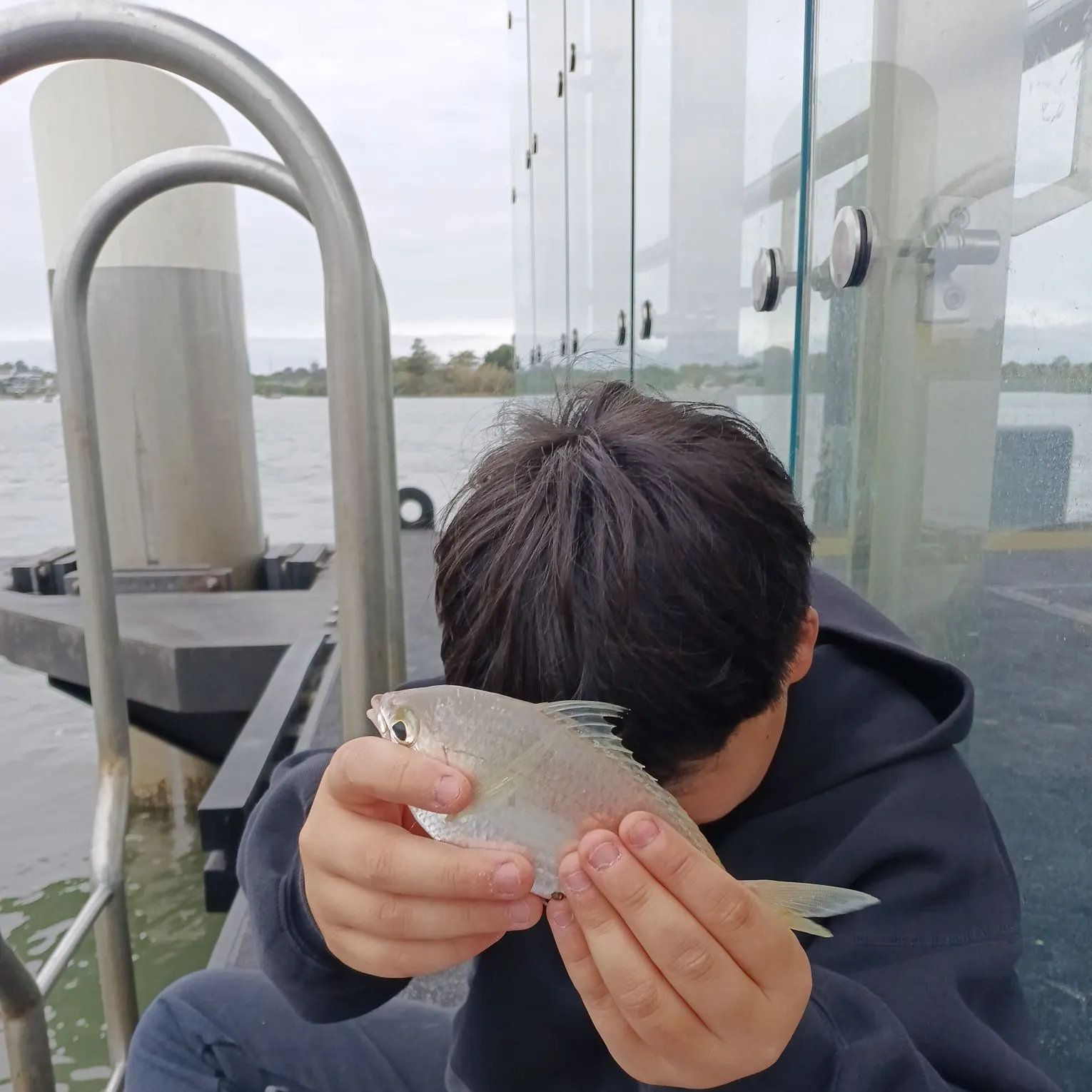 Javelin grunter caught on Fishbrain