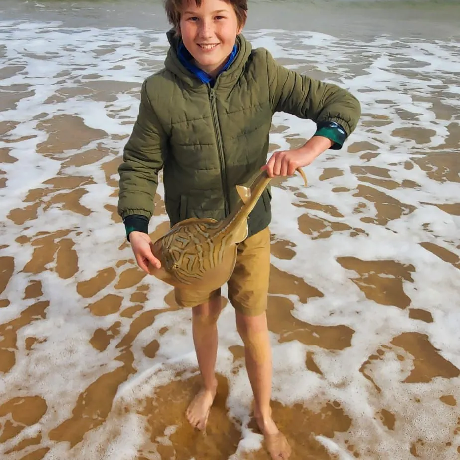 The most recent Southern fiddler catches on Fishbrain