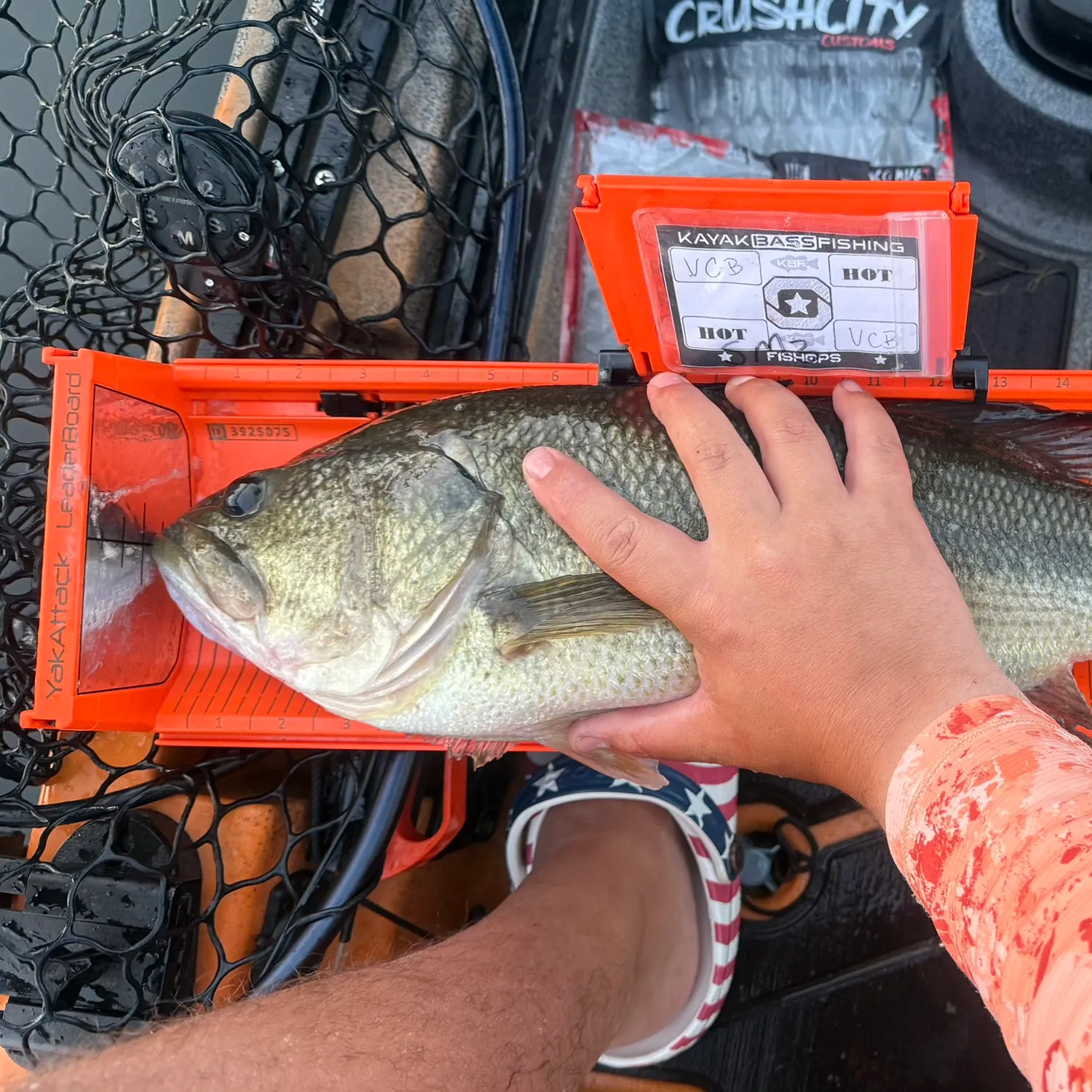 Largemouth bass caught on Fishbrain