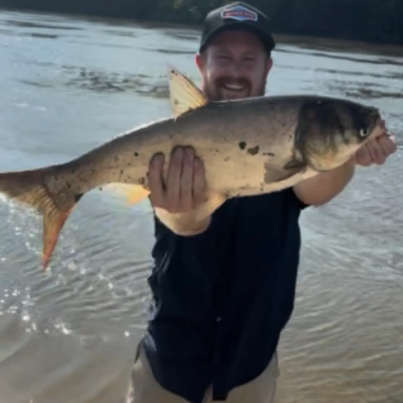 Silver carp caught on Fishbrain