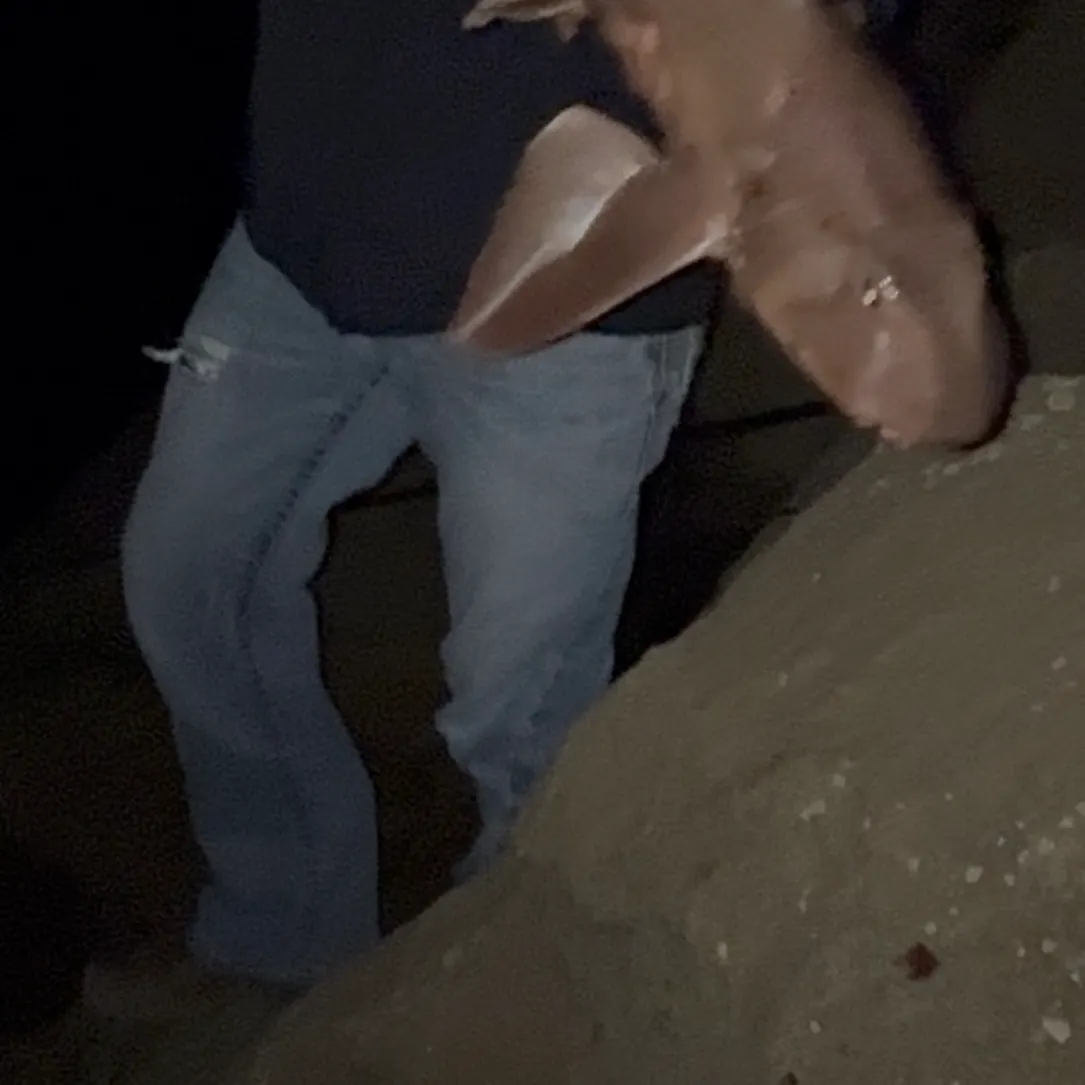 The most recent Horn shark catches on Fishbrain
