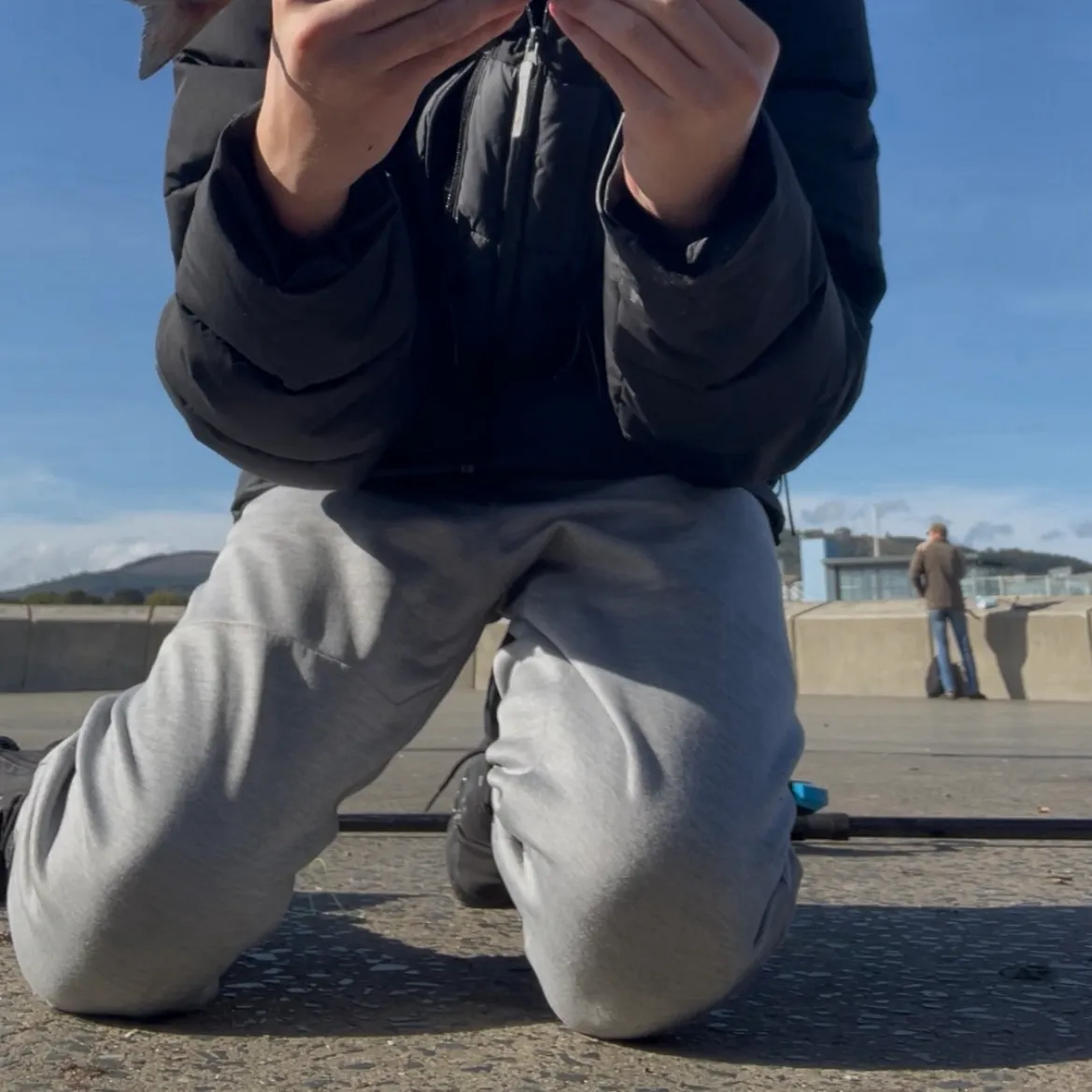 Atlantic pollock caught on Fishbrain