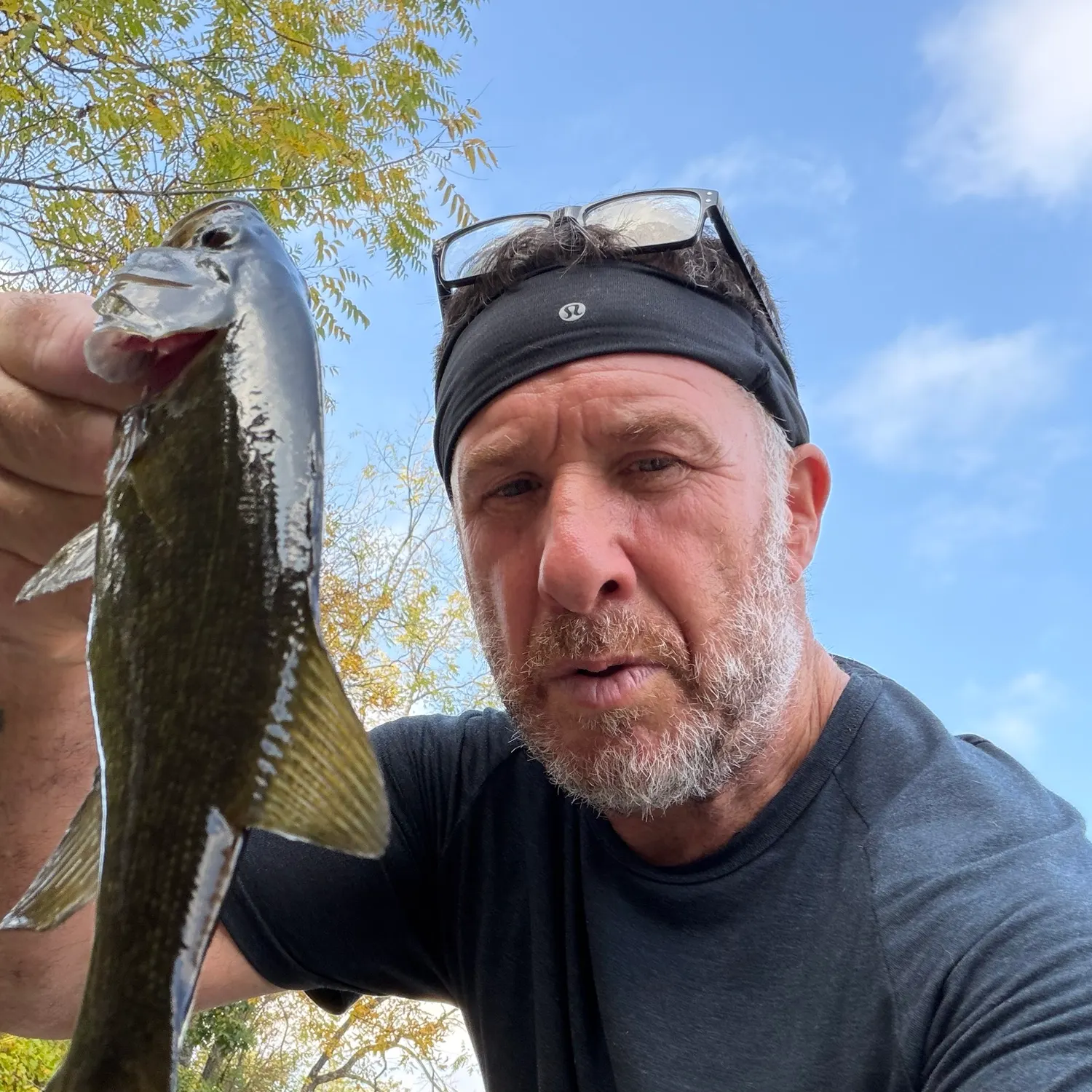 Smallmouth bass caught on Fishbrain