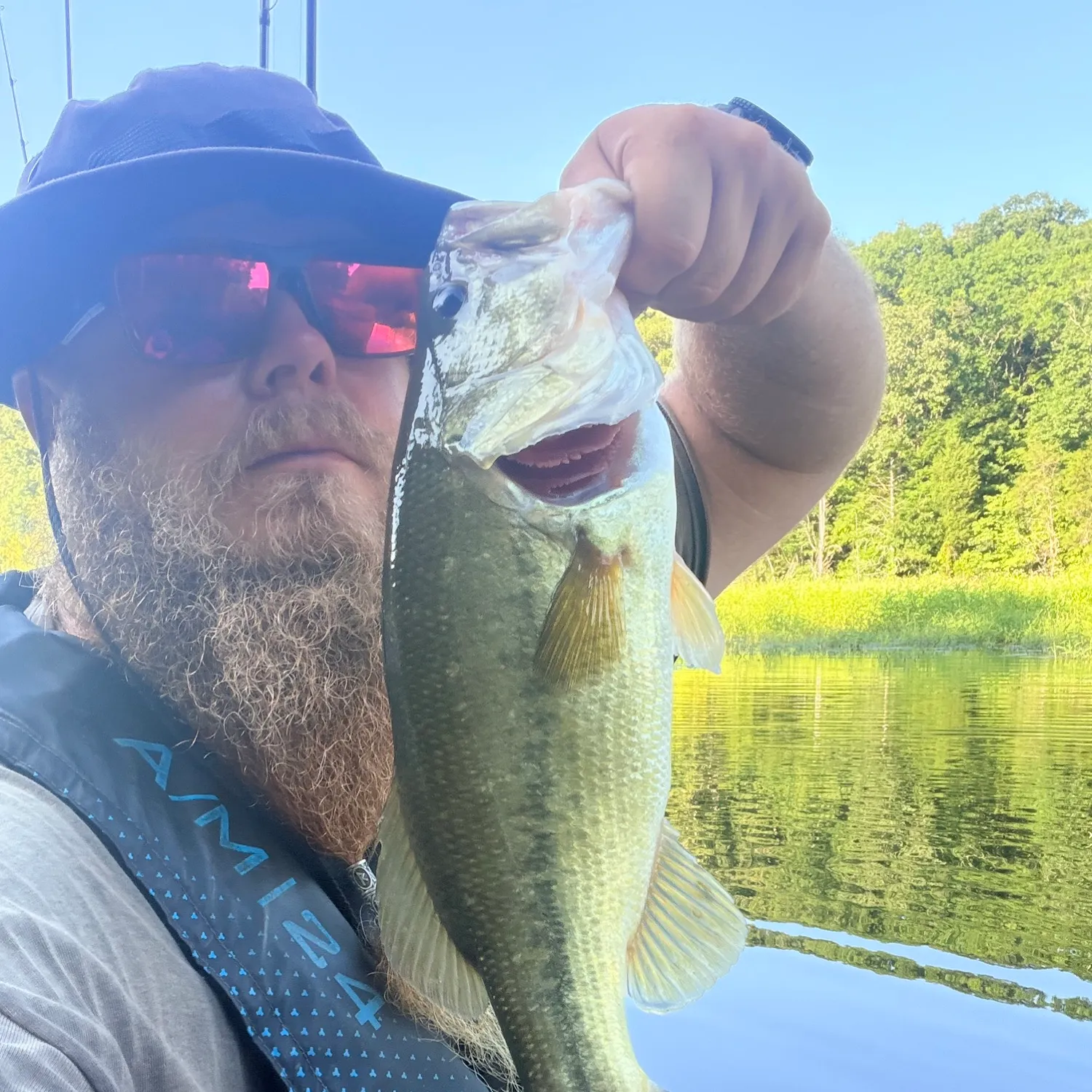 Largemouth bass caught on Fishbrain
