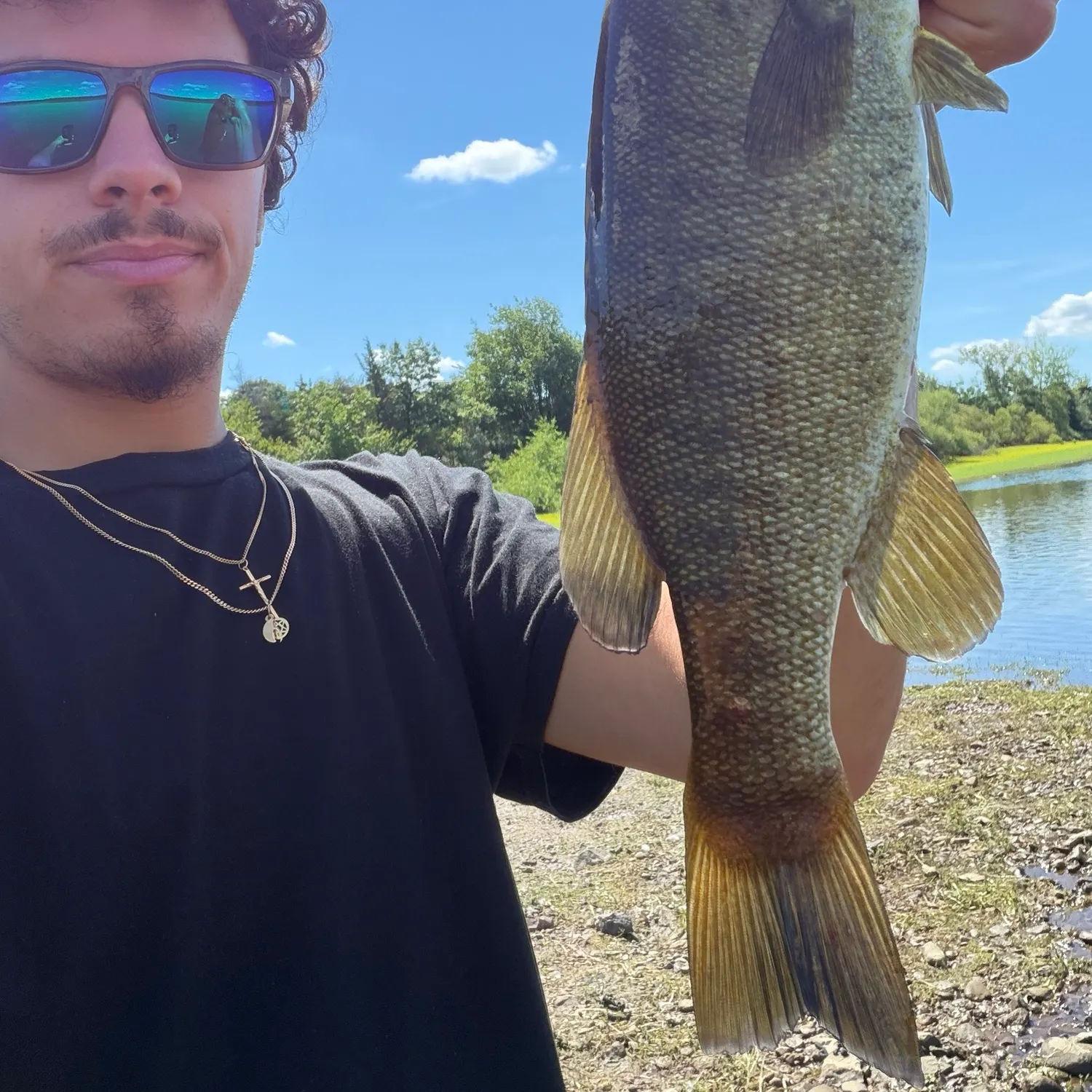 Smallmouth bass caught on Fishbrain