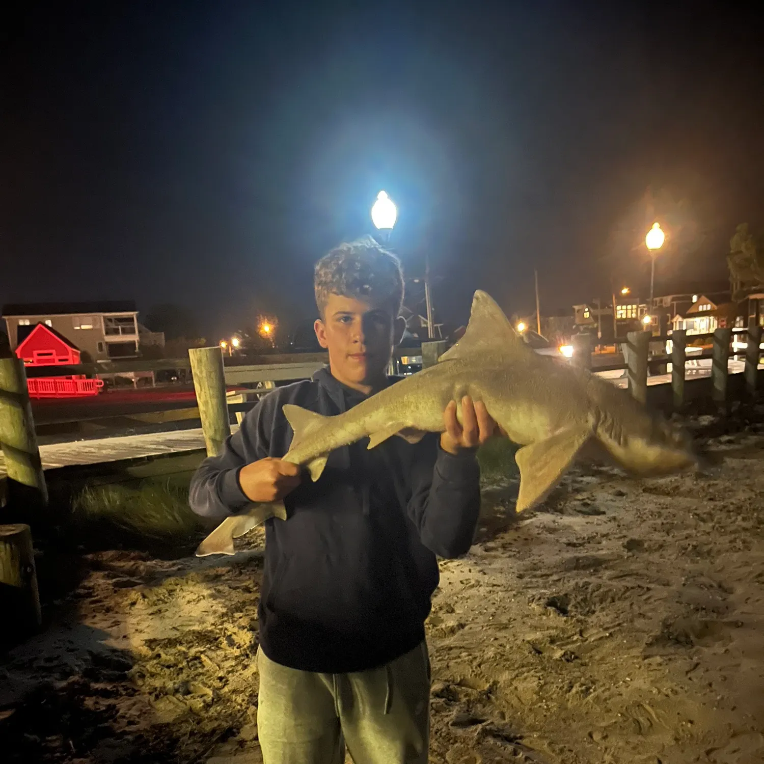 The most recent Dusky smooth-hound catches on Fishbrain