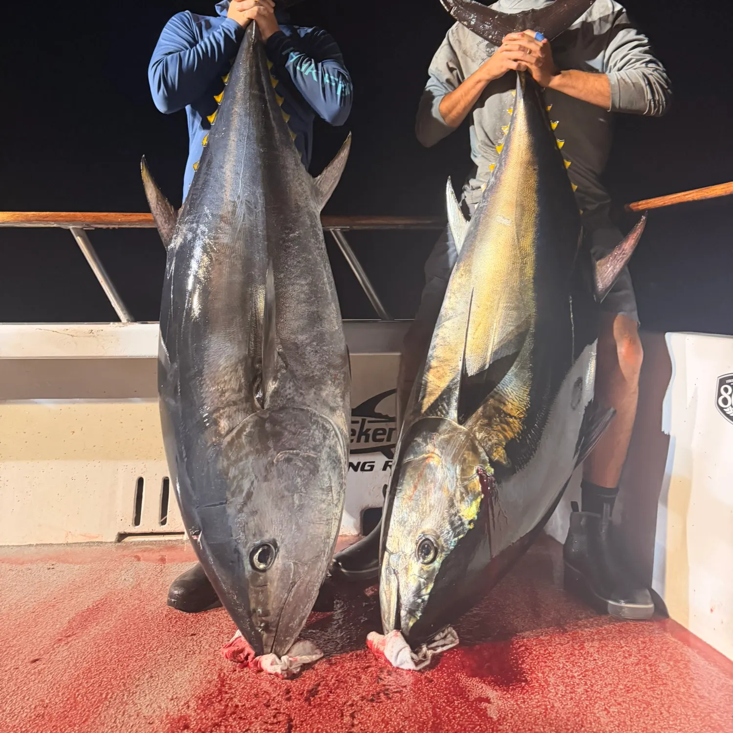 The most recent Pacific bluefin tuna catches on Fishbrain