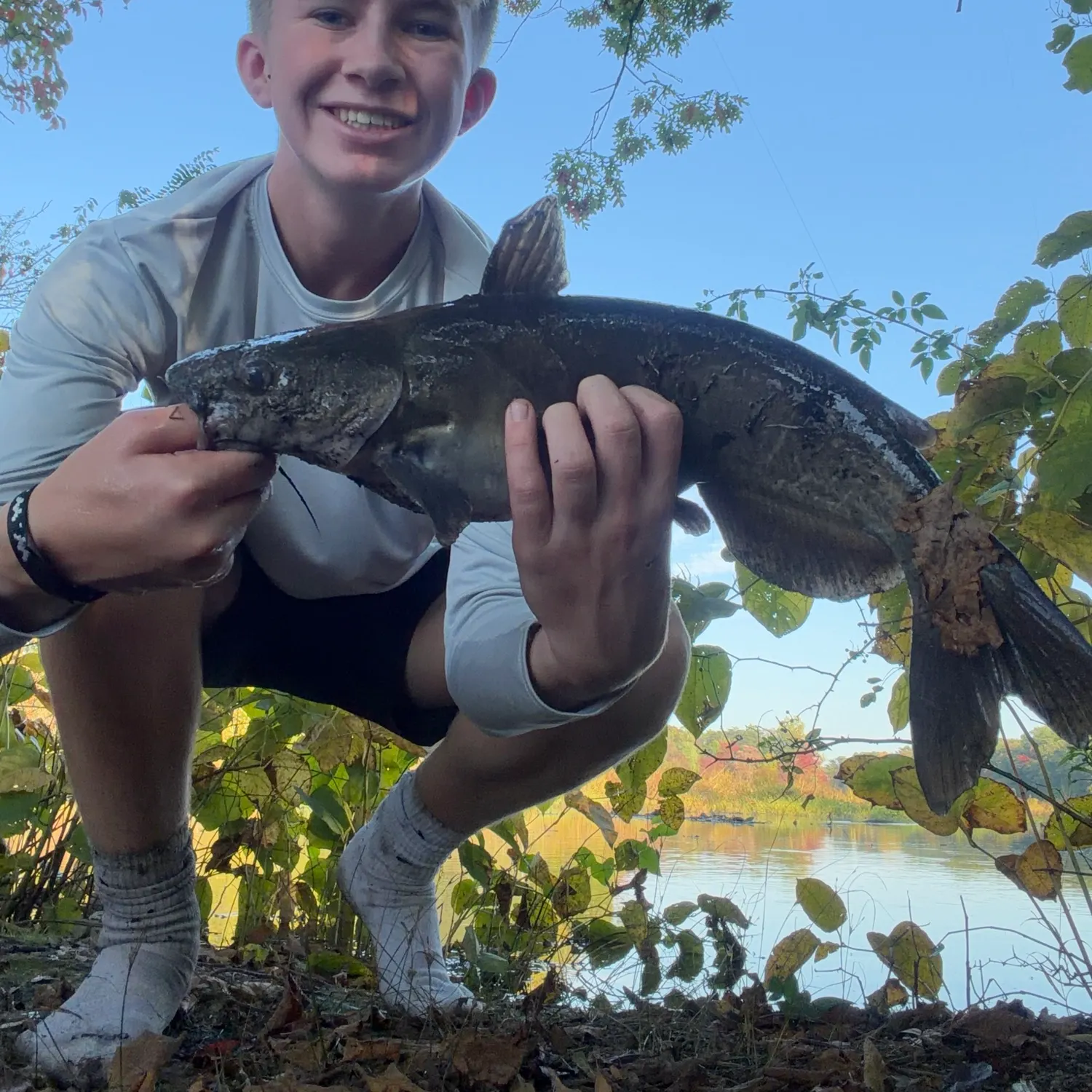 Channel catfish caught on Fishbrain