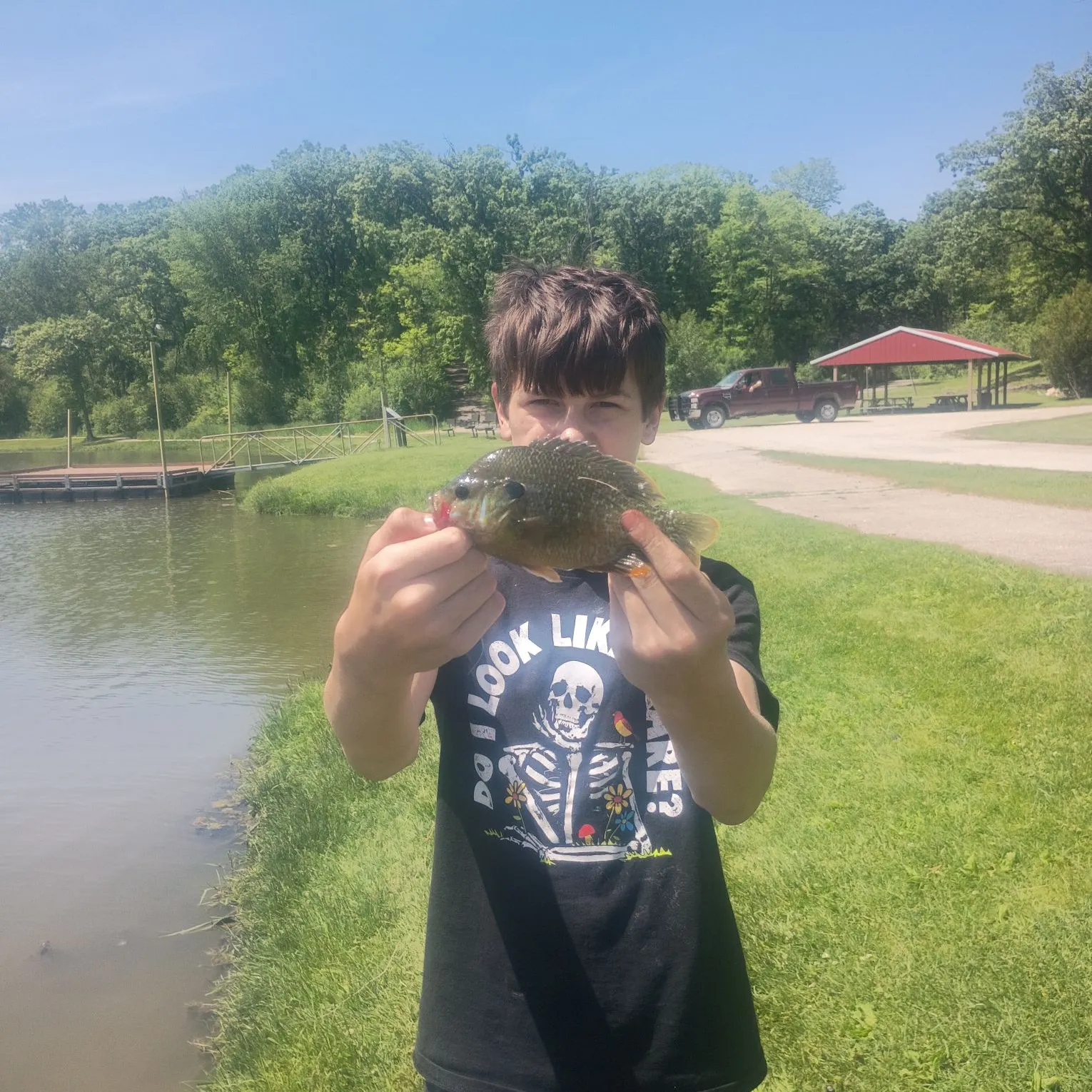 Greengill hybrid caught on Fishbrain