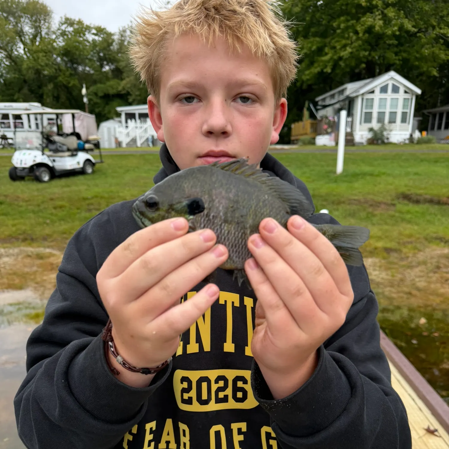 Bluegill caught on Fishbrain