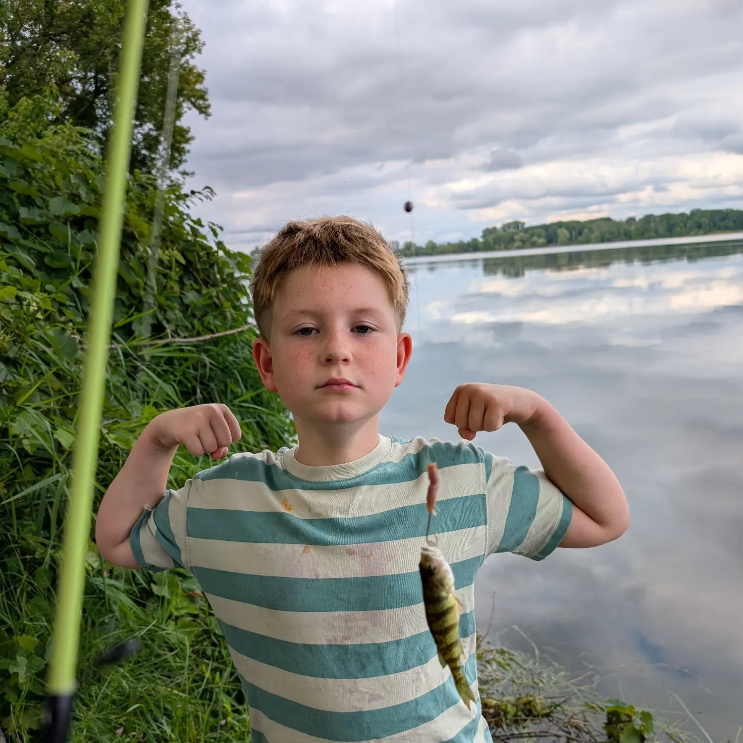 Yellow perch caught on Fishbrain