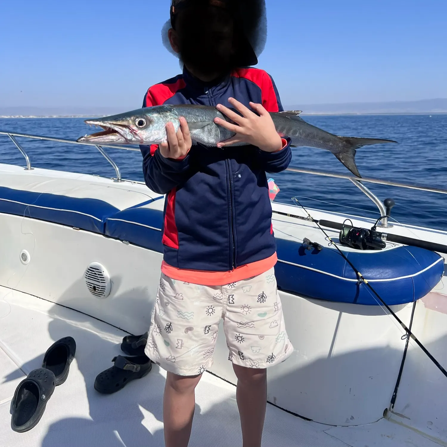 Great barracuda caught on Fishbrain