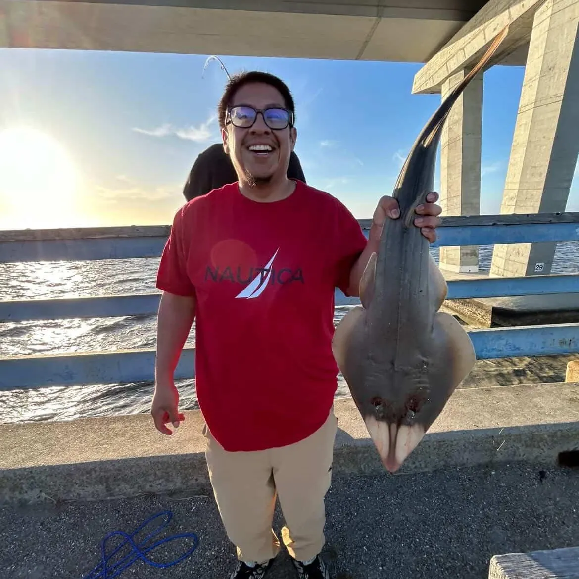 The most recent Pacific shovelnose guitarfish catches on Fishbrain