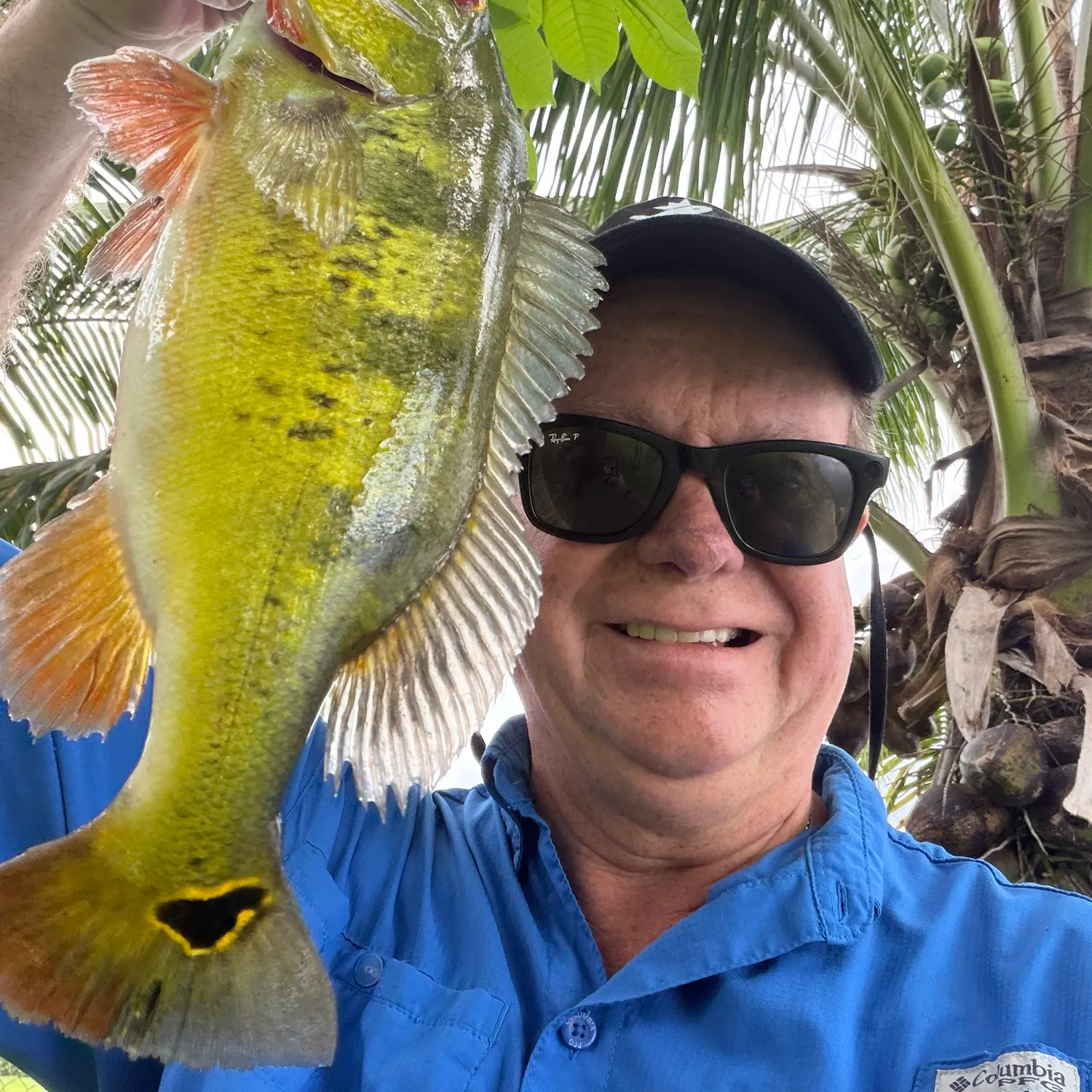 Butterfly peacock bass caught on Fishbrain