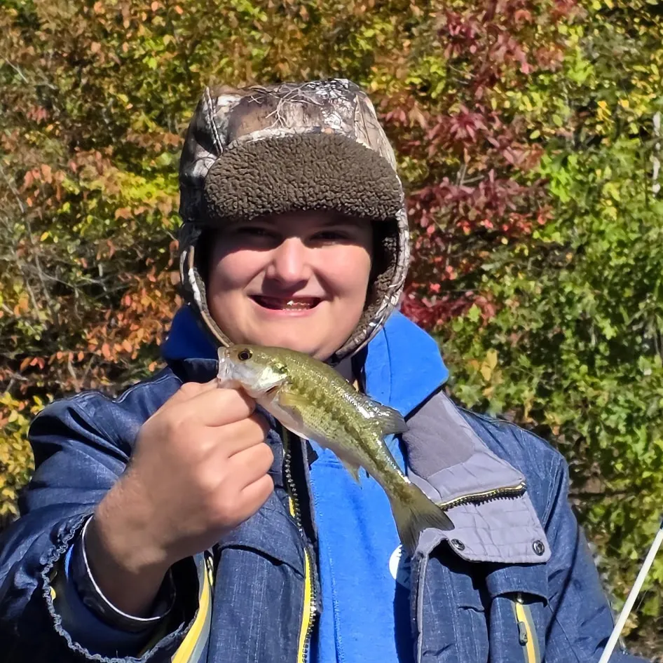 Spotted bass caught on Fishbrain