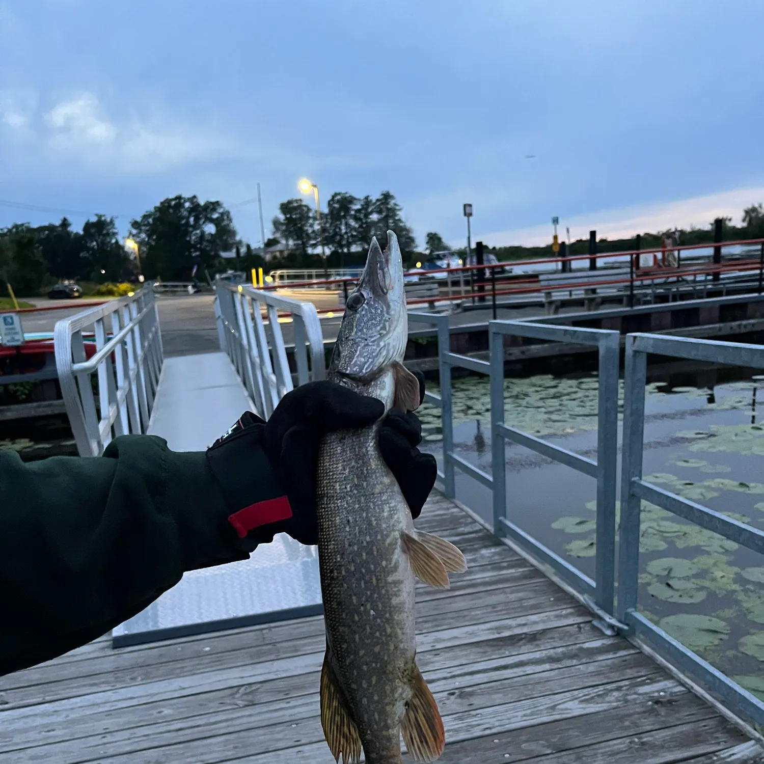 catch
