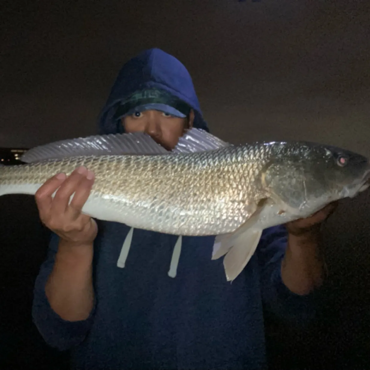 The most recent Red drum catches on Fishbrain