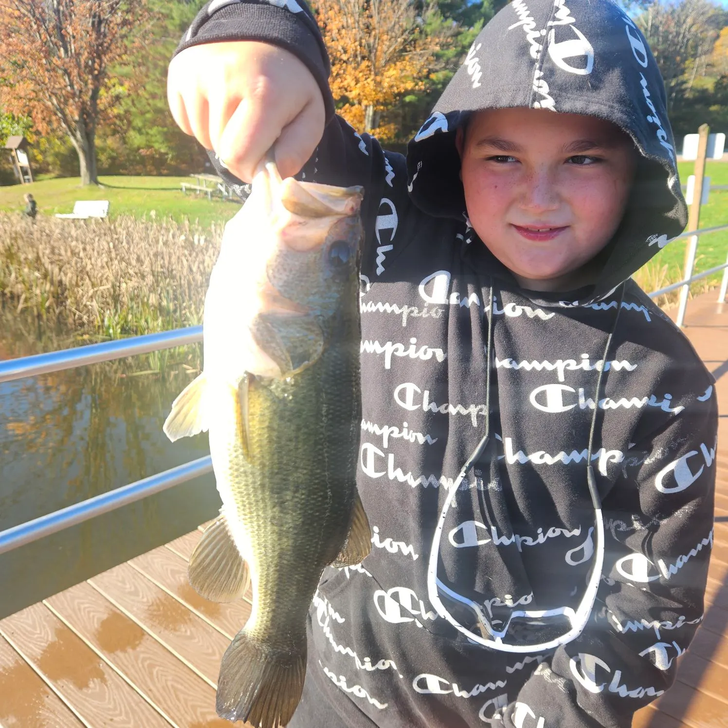 Largemouth bass caught on Fishbrain