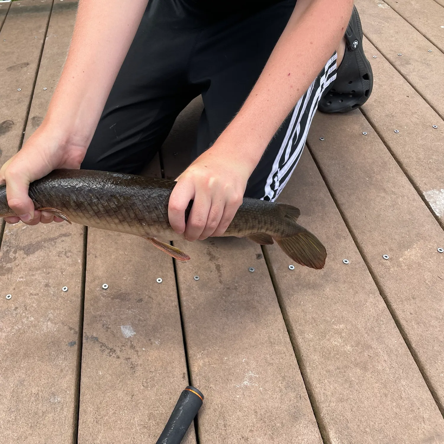 catch