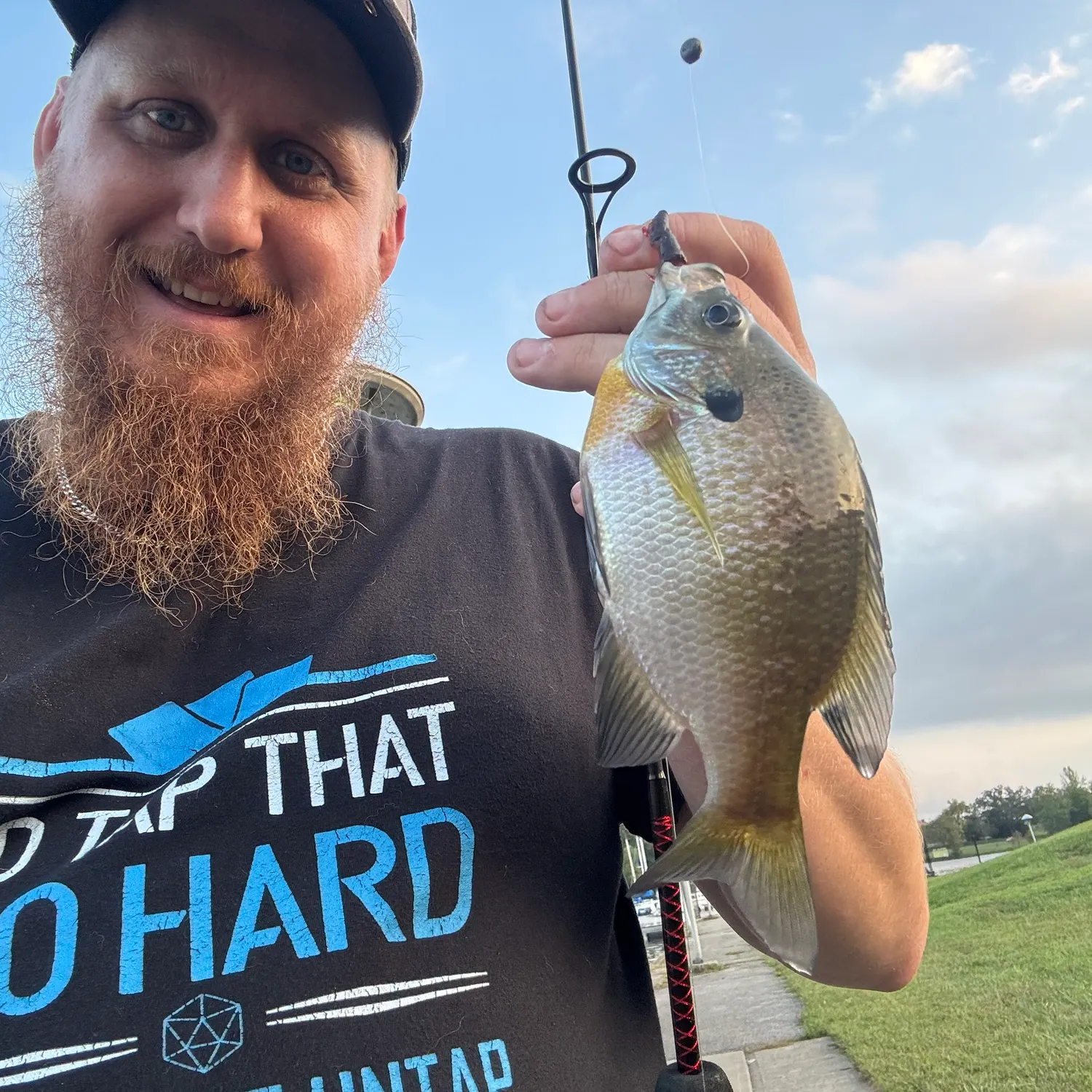 Bluegill caught on Fishbrain
