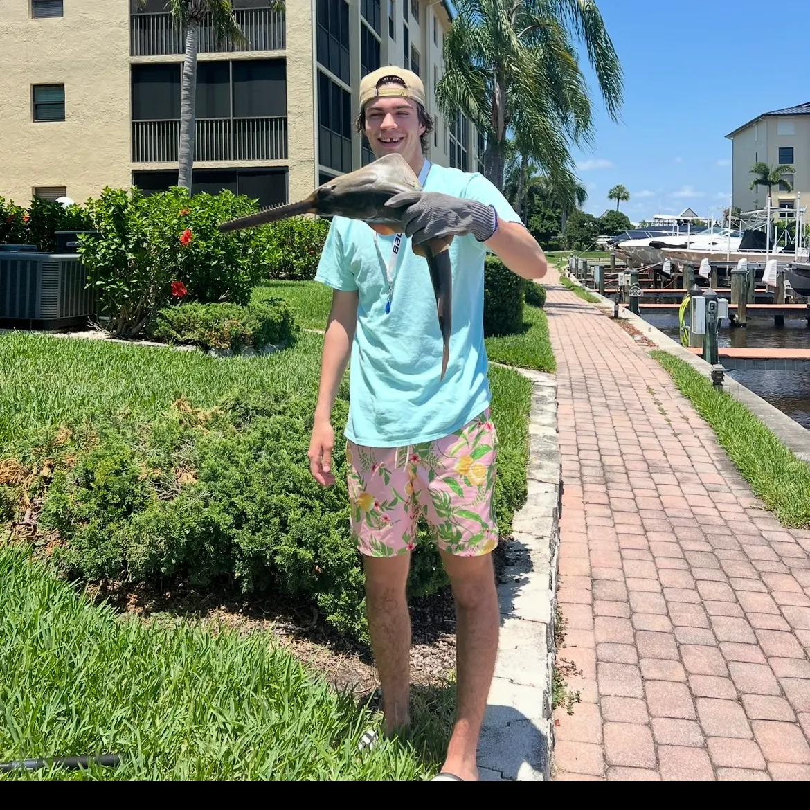 The most recent Smalltooth sawfish catches on Fishbrain