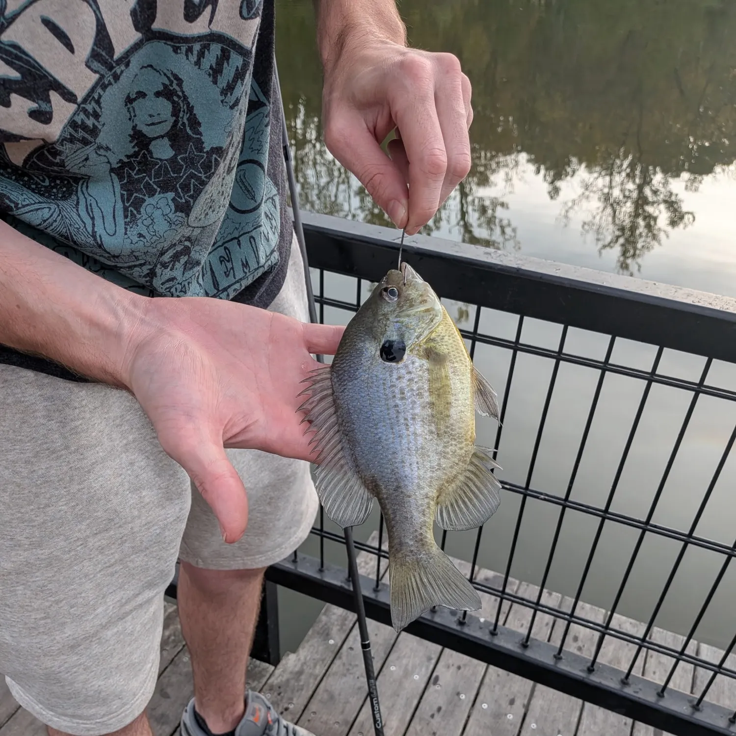 Bluegill caught on Fishbrain
