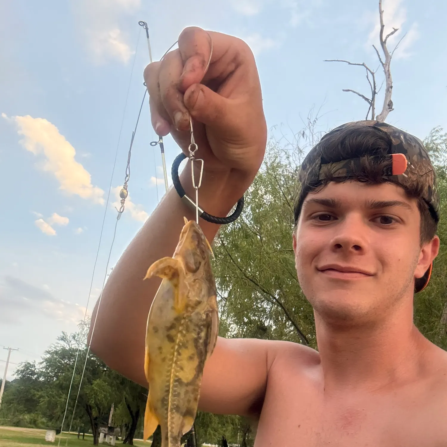 The most recent Granulated catfish catches on Fishbrain