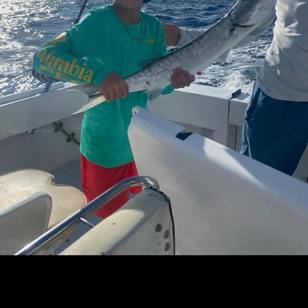 Great barracuda caught on Fishbrain