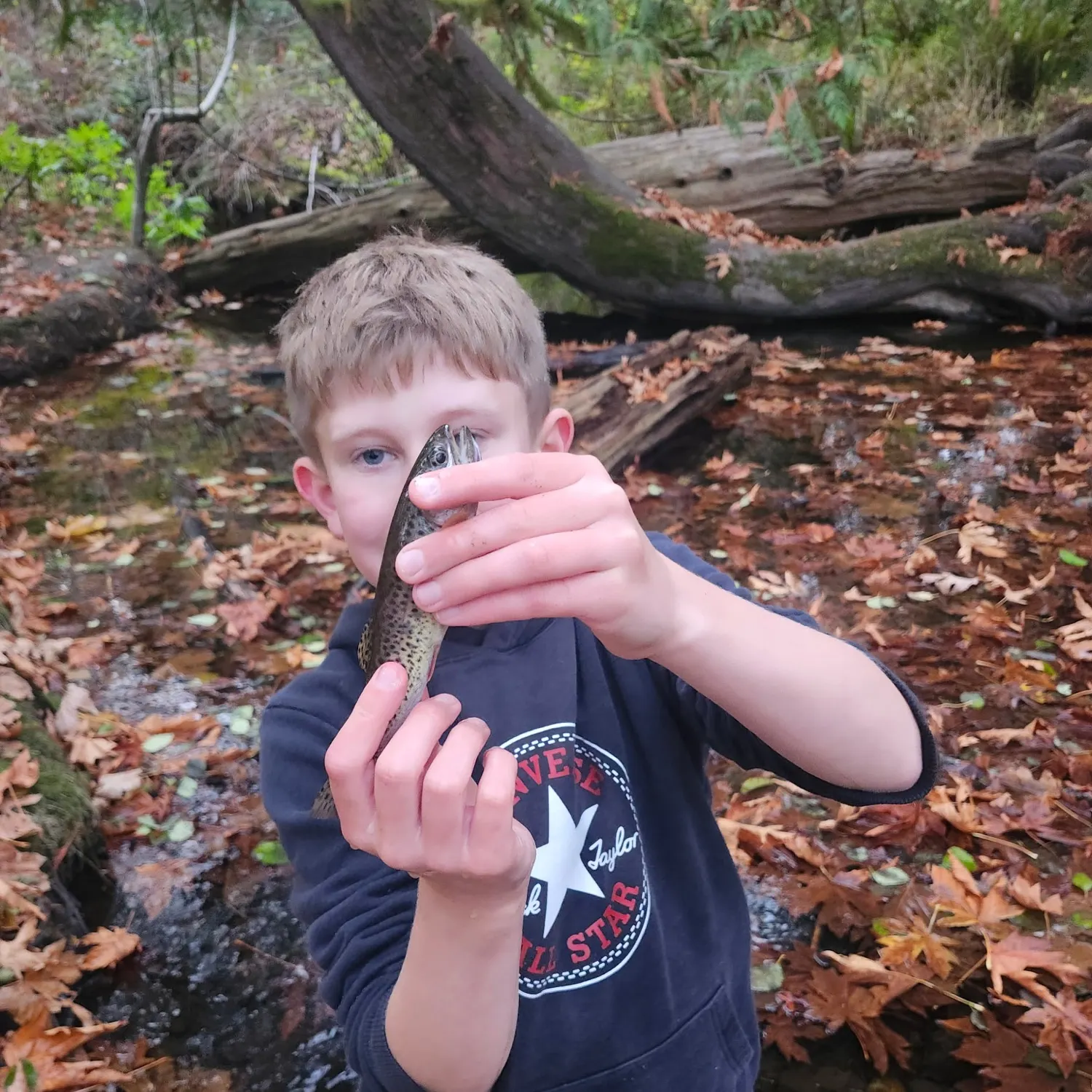 Rainbow trout caught on Fishbrain