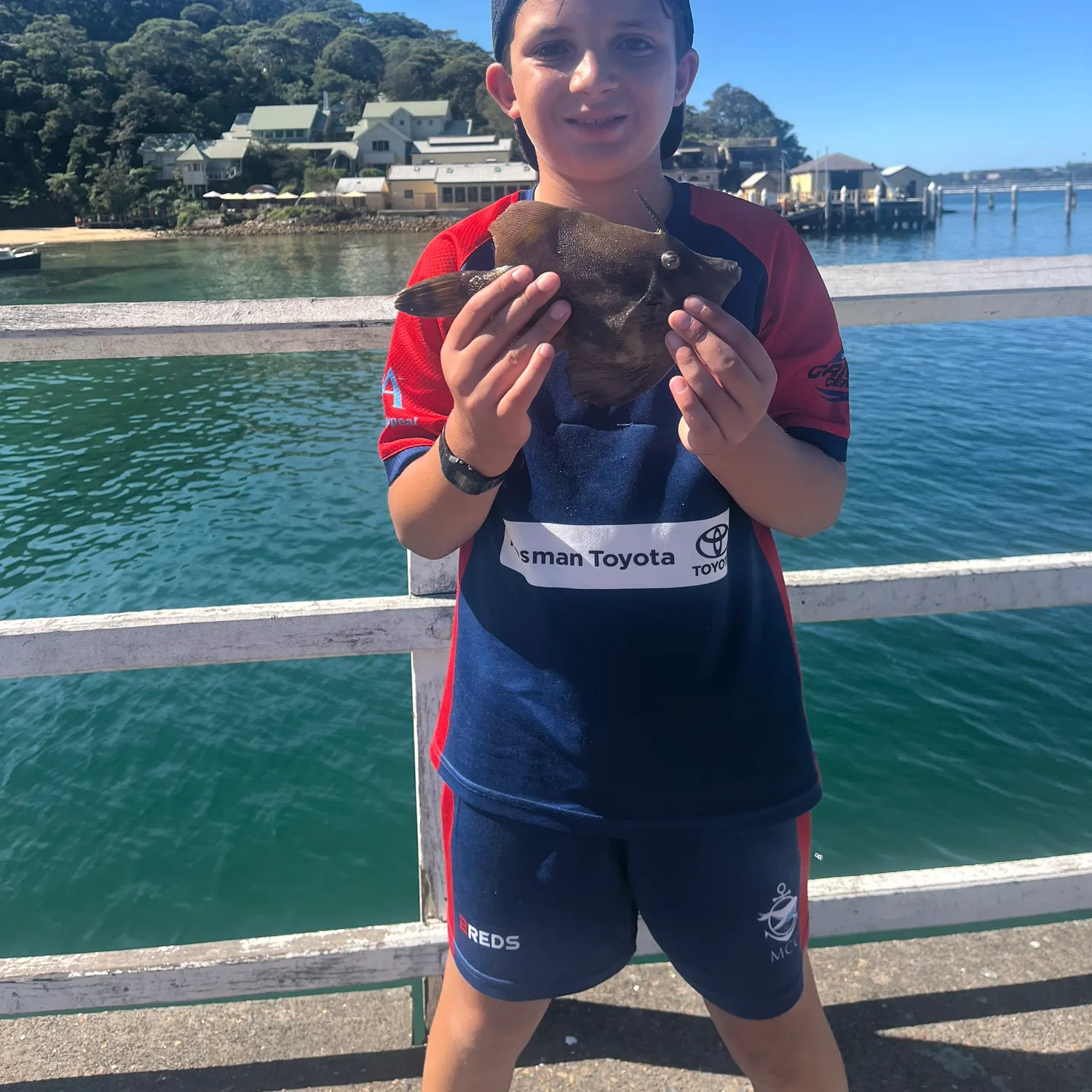 The most recent Fan-bellied leatherjacket catches on Fishbrain