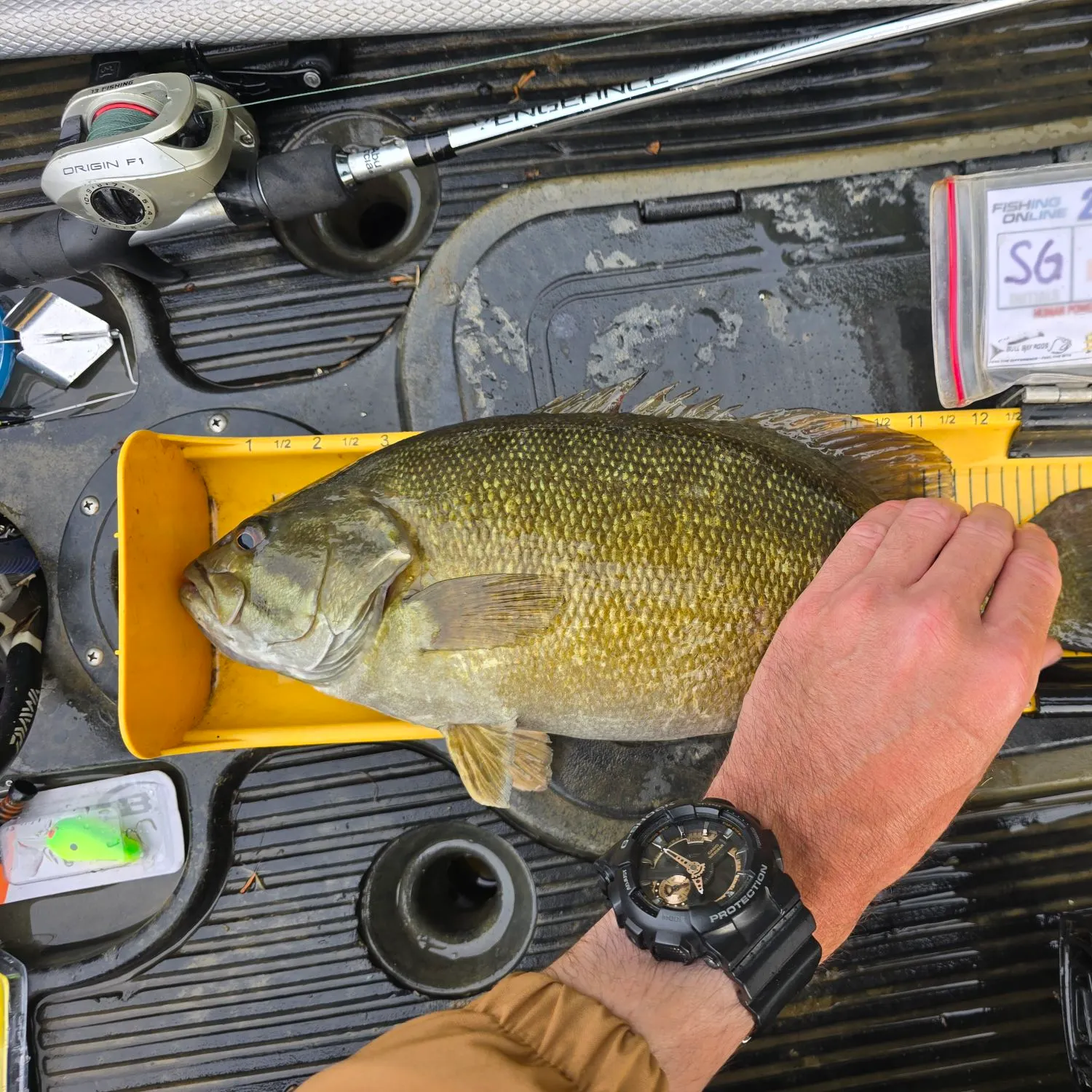 catch