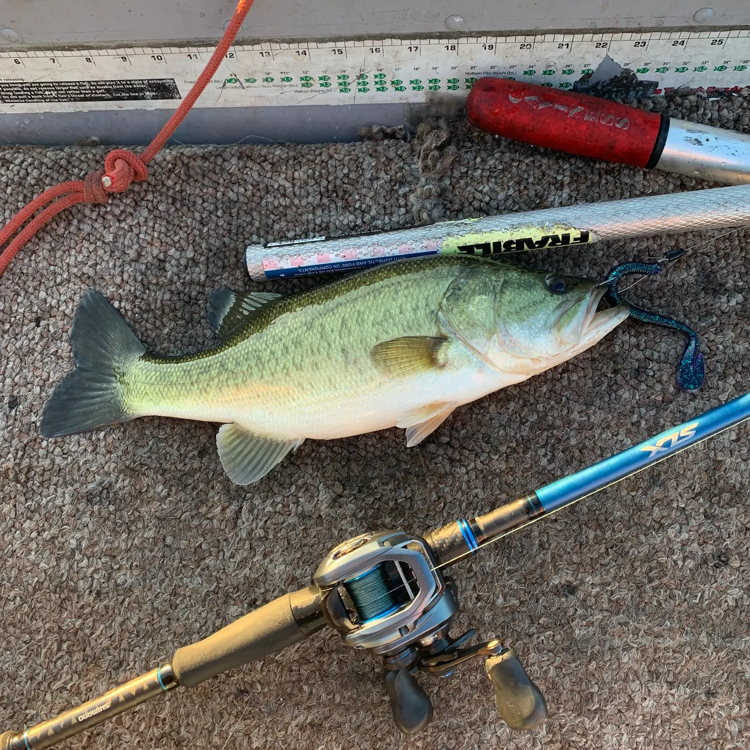 Largemouth bass caught on Fishbrain