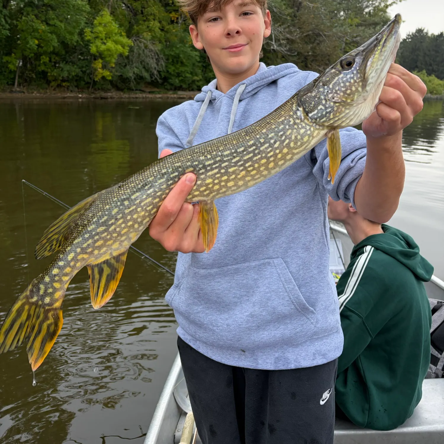 Northern pike caught on Fishbrain
