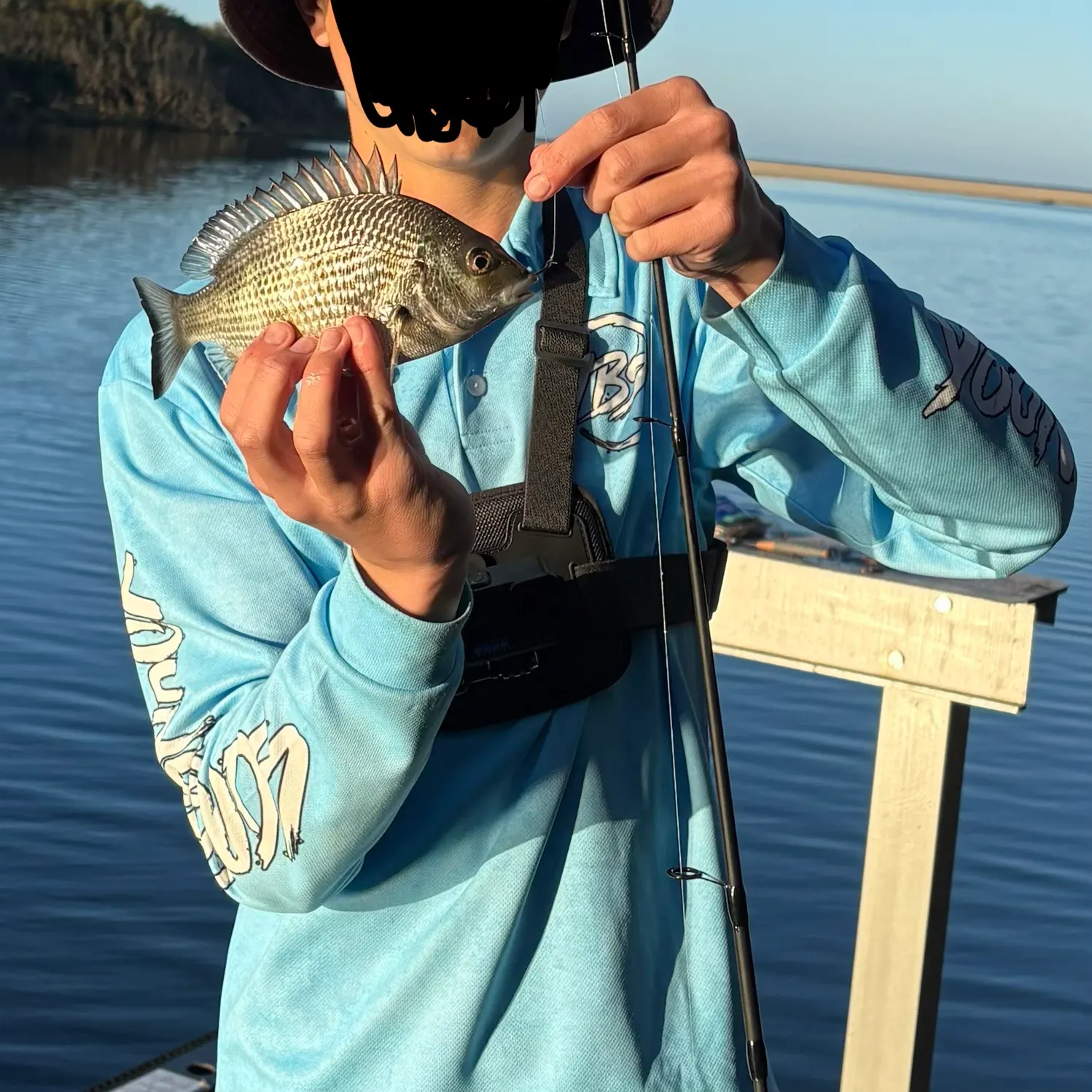 Surf bream caught on Fishbrain