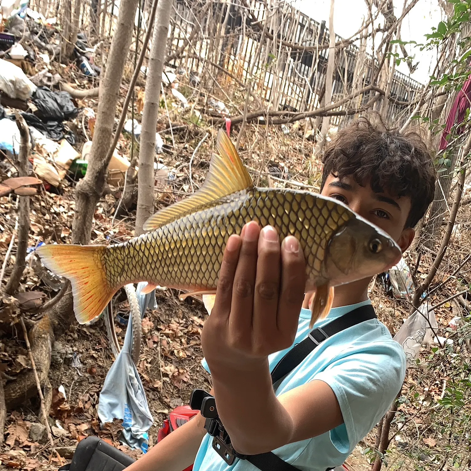 The most recent River carpsucker catches on Fishbrain