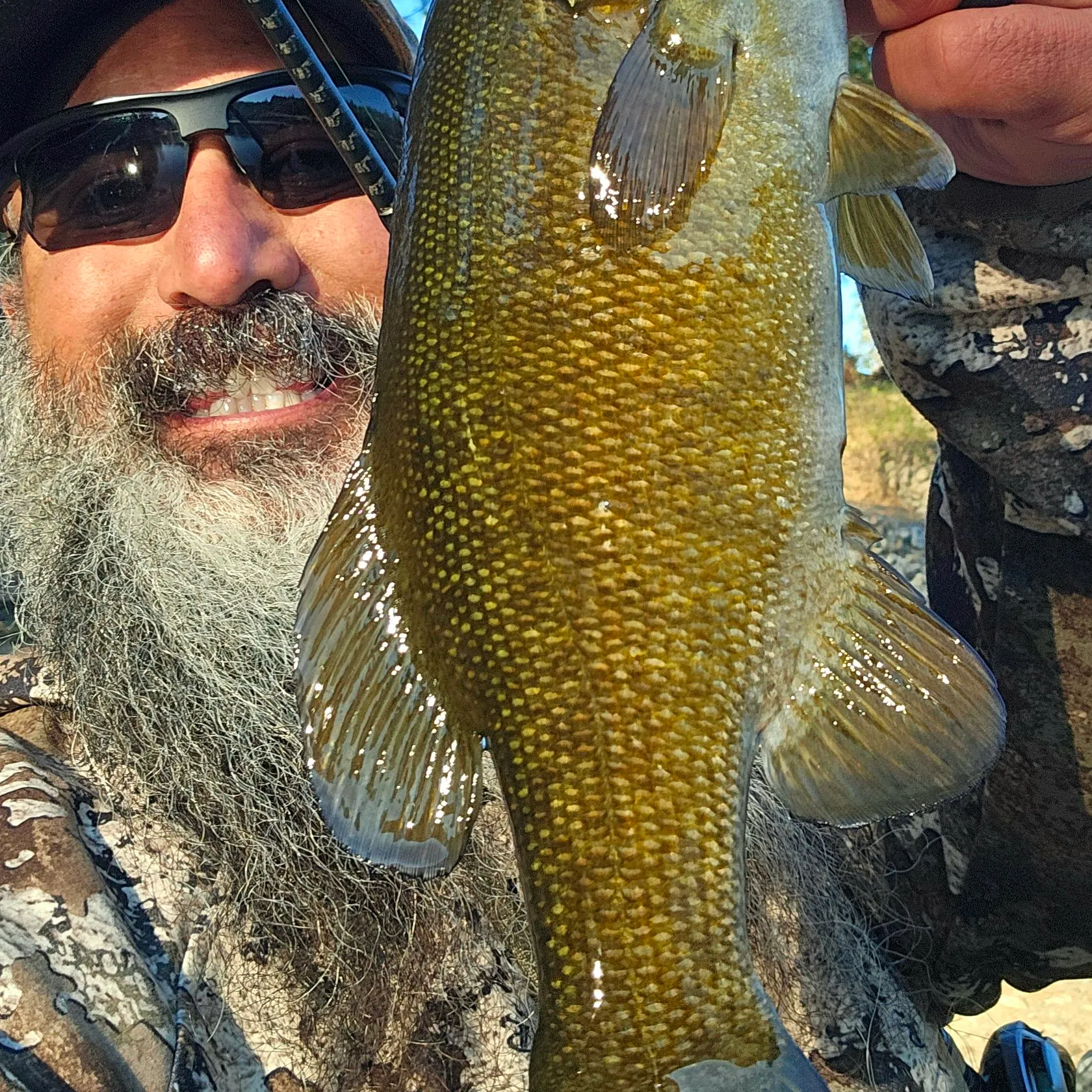 Smallmouth bass caught on Fishbrain