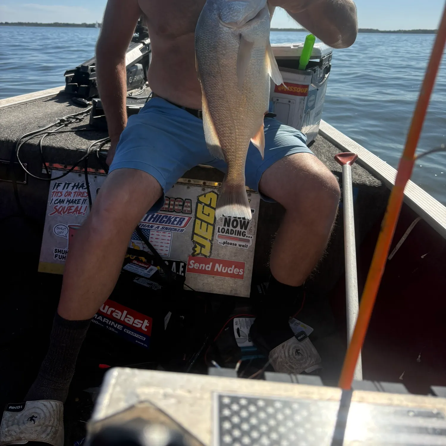 Freshwater drum caught on Fishbrain