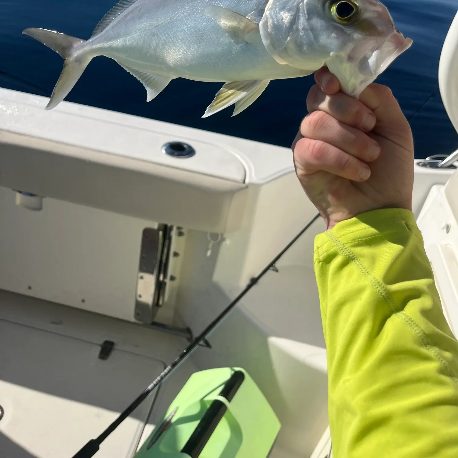 The most recent Lesser amberjack catches on Fishbrain